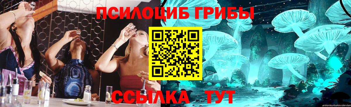 Псилоцибиновые грибы мухоморы  закладки  Асино  Галлюциногенные грибы ЛСД  Вход с VPN 